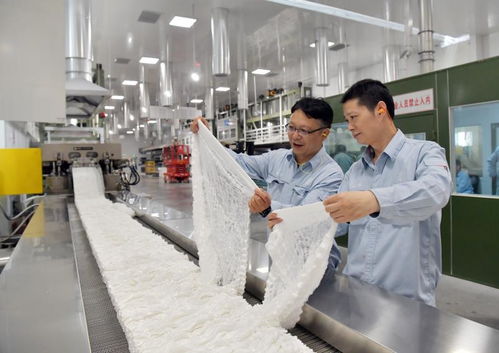突破100万吨 中石化建成全球最大涤纶短纤维生产基地
